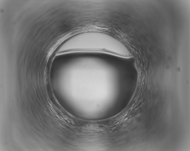 X0000056370244200508260927