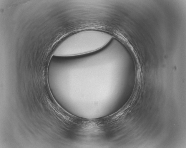X0000056370249200508260928