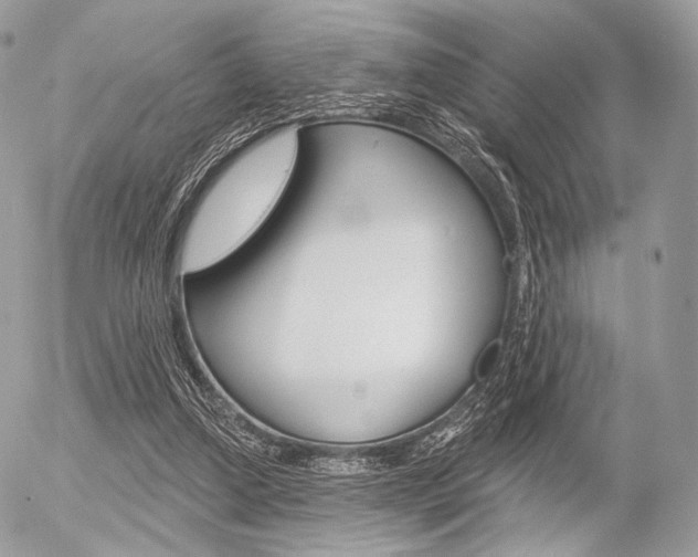 X0000056370250200508260928