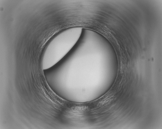 X0000056370251200508260928