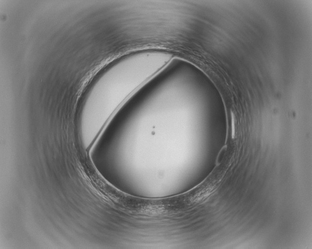 X0000056370252200508260928