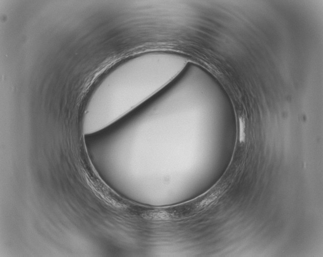 X0000056370253200508260928
