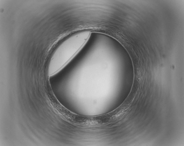 X0000056370256200508260928