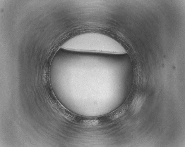 X0000056370266200508260928