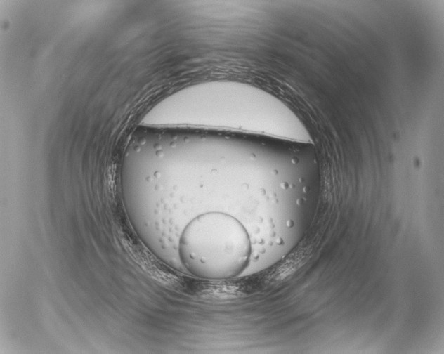 X0000056370278200508260928