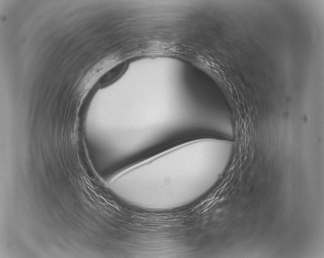 X0000056370292200508260927