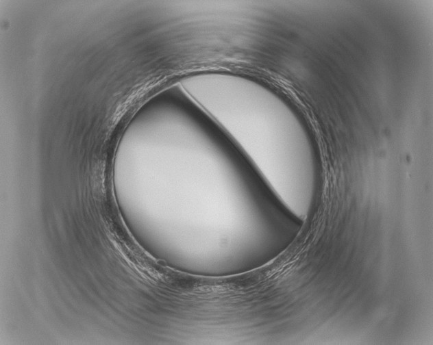 X0000056370299200508260927