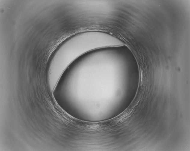 X0000056370301200508260927