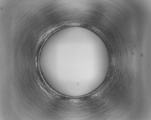 X0000056370302200508260927