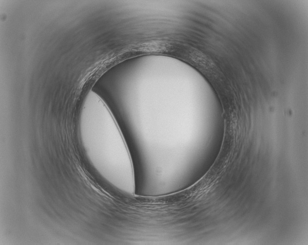 X0000056370303200508260927