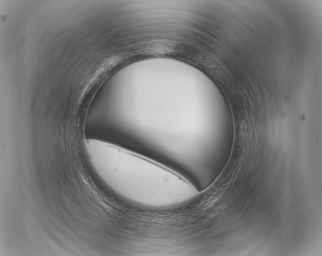 X0000056370304200508260927