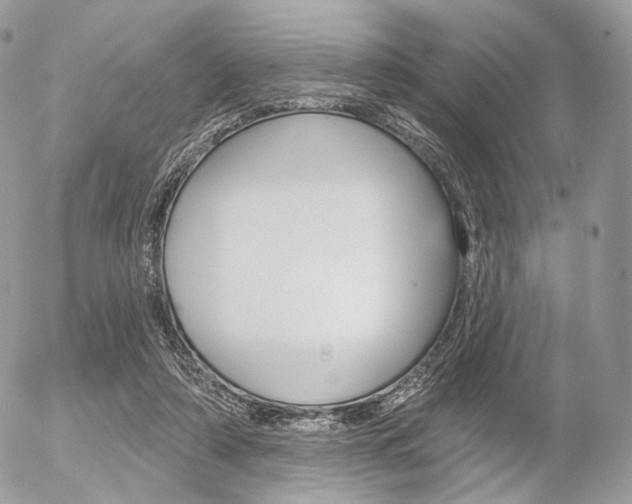 X0000056370306200508260927