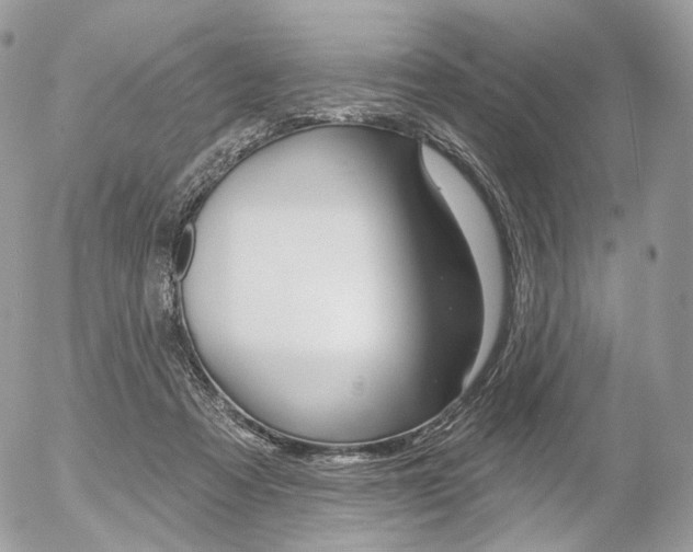 X0000056370313200508260927