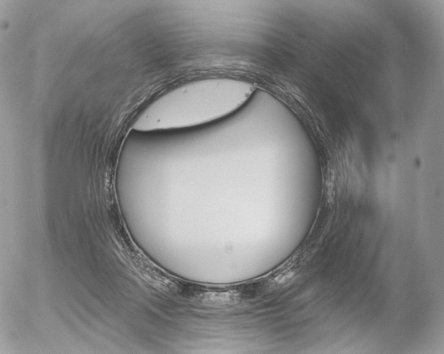 X0000056370314200508260927