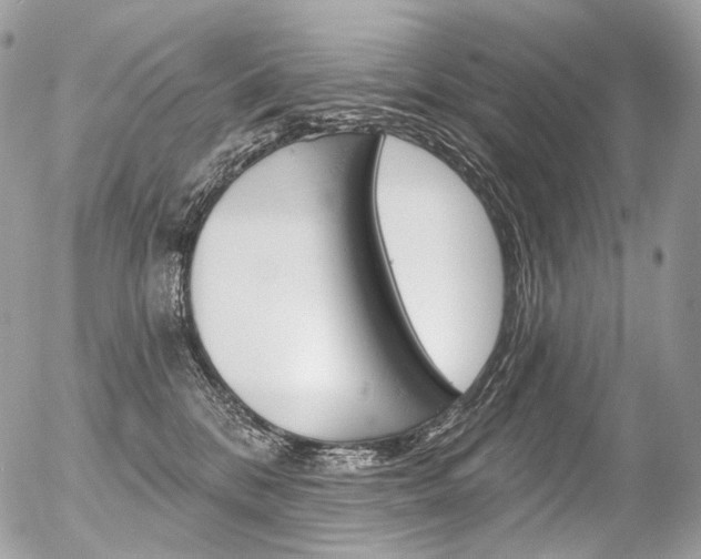 X0000056370328200508260927