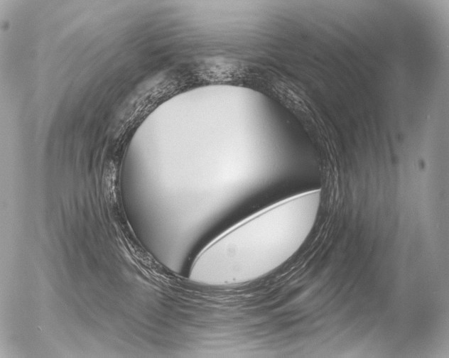 X0000056370332200508260927