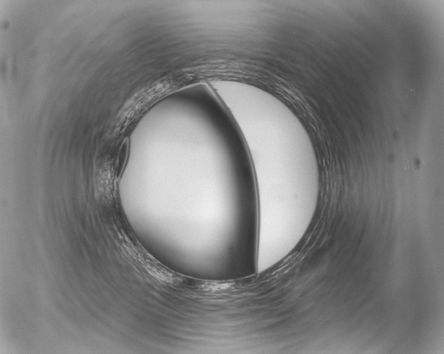 X0000056370333200508260927