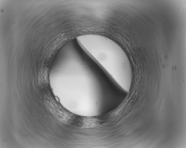 X0000056370336200508260927