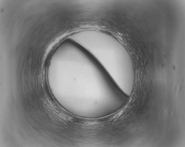 X0000056370342200508260926