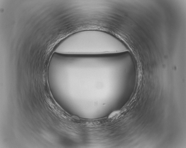 X0000056370345200508260926