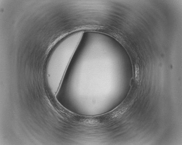 X0000056370348200508260926