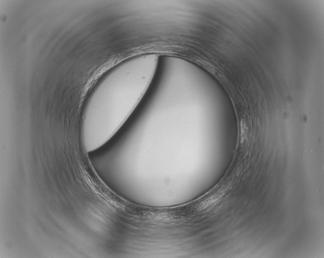 X0000056370349200508260926