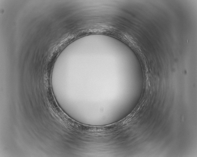 X0000056370354200508260926