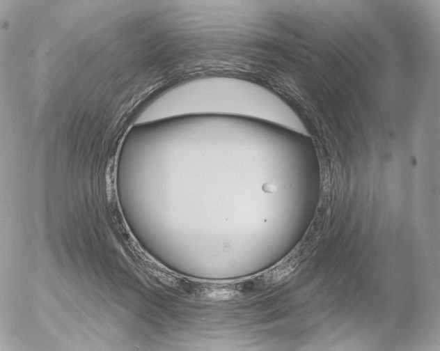 X0000056370360200508260926