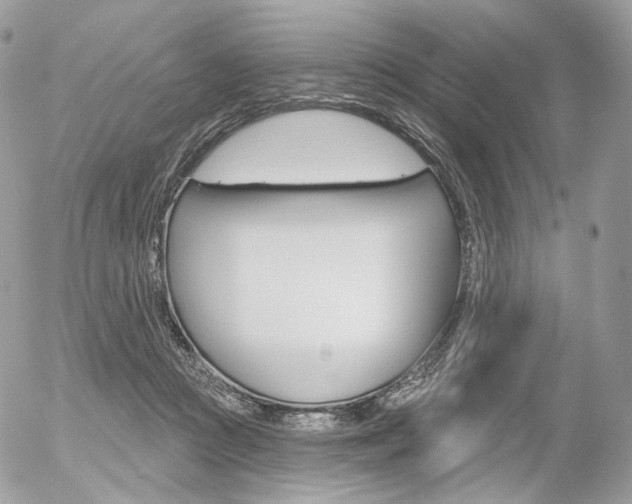 X0000056370361200508260926