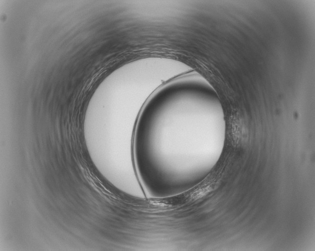 X0000056370380200508260927