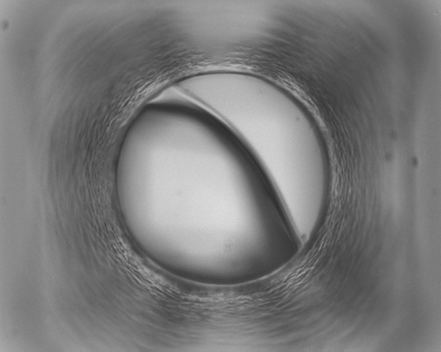X0000056370385200508260926