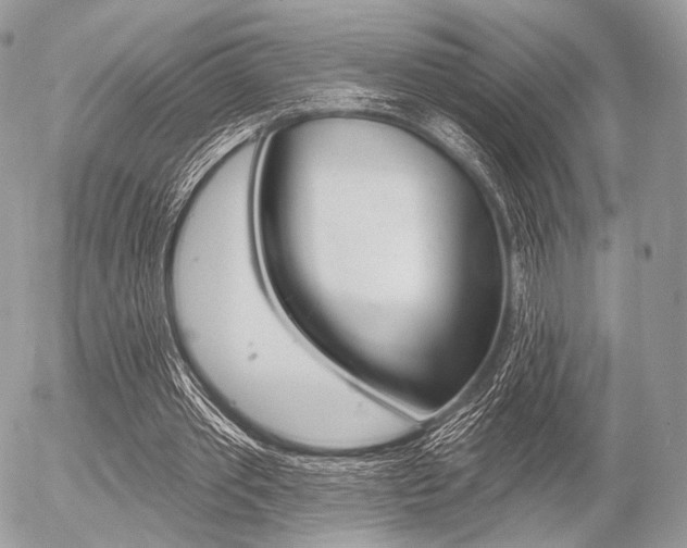 X0000056370389200508260926