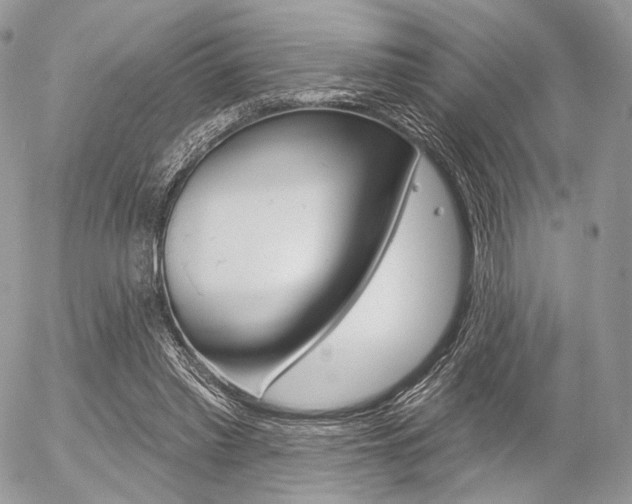 X0000056370397200508260926