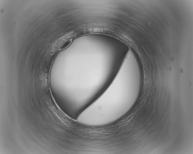 X0000056370401200508260926