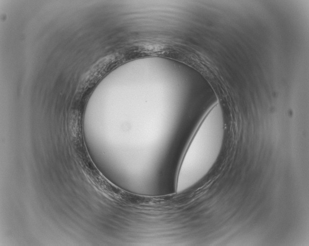 X0000056370412200508260925