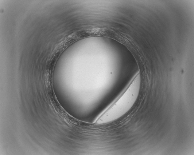 X0000056370416200508260925