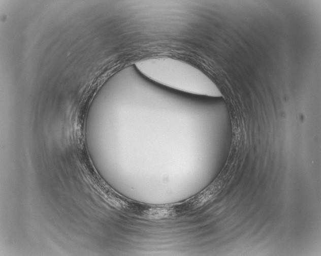 X0000056370418200508260925