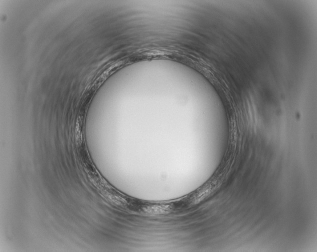X0000056370422200508260925