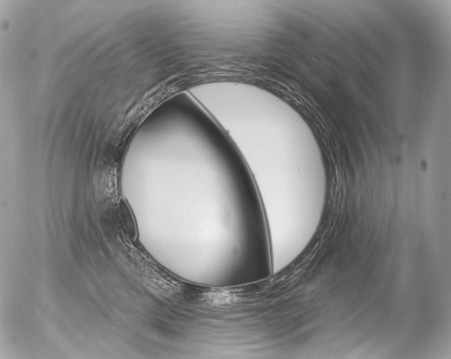 X0000056370425200508260925