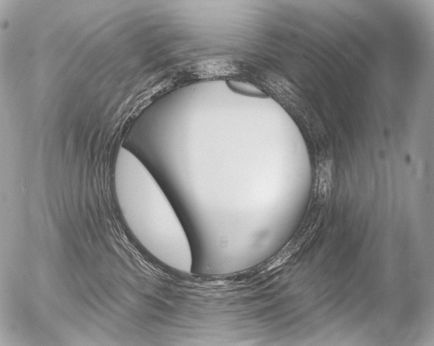 X0000056370426200508260925