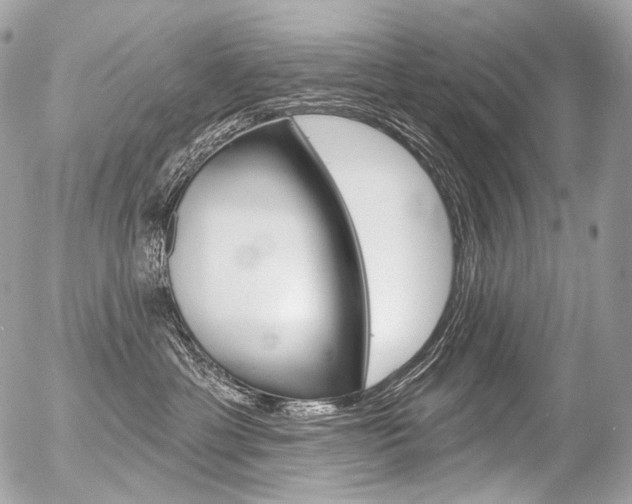X0000056370429200508260925