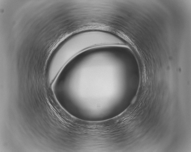 X0000056370436200508260924