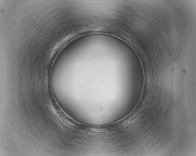 X0000056370442200508260924