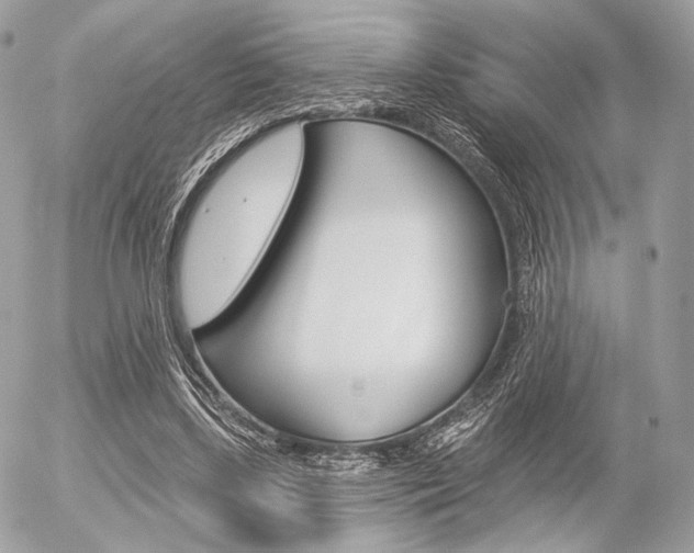 X0000056370443200508260924