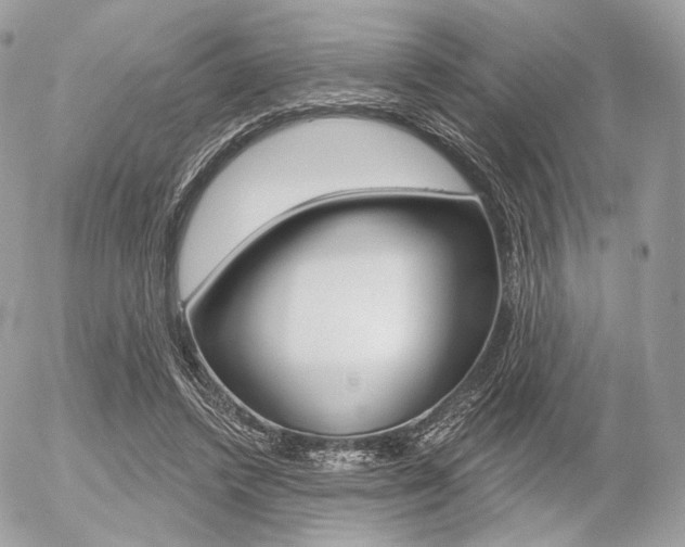 X0000056370448200508260924