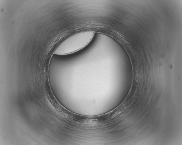 X0000056370451200508260924