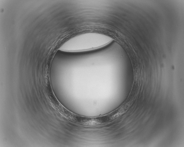 X0000056370460200508260925