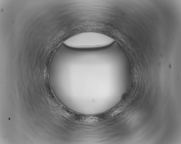 X0000056370463200508260925
