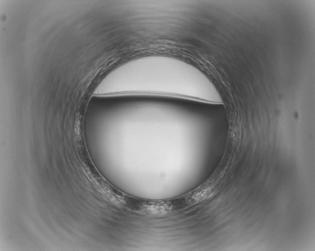 X0000056370466200508260925