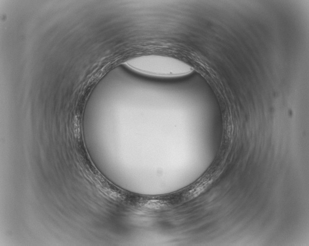 X0000056370467200508260925